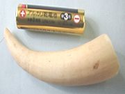 �~���H�|�i�̂�������